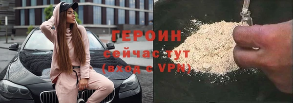гидра Богданович