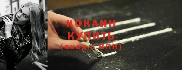 гидра Богданович