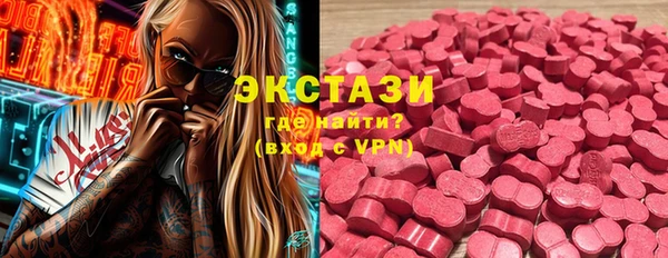 гидра Богданович