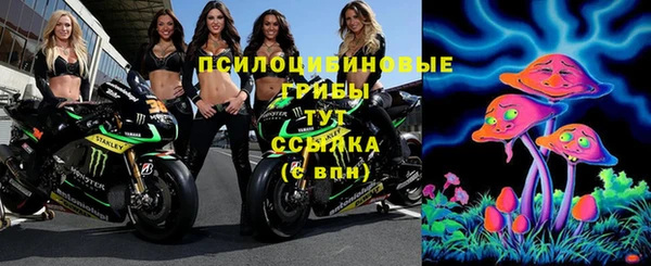 гидра Богданович