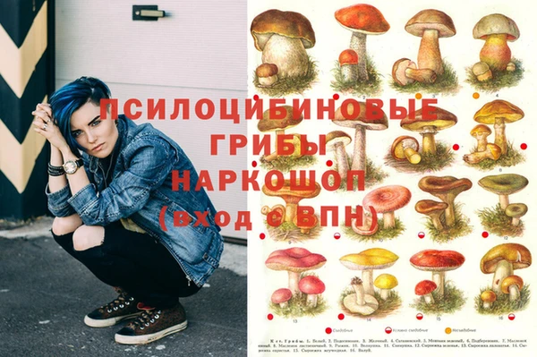 наркотики Богородск
