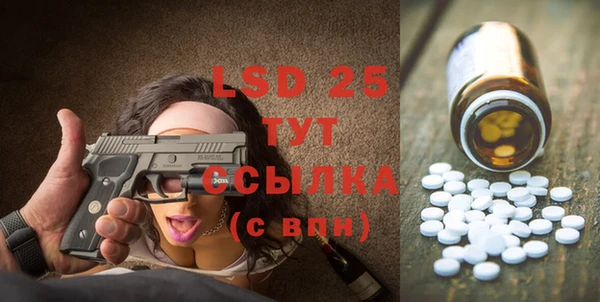 дмт Бородино