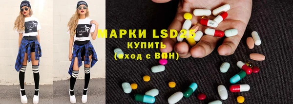 гидра Богданович