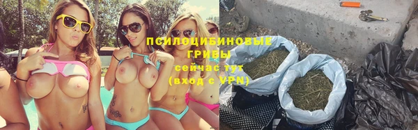 гидра Богданович
